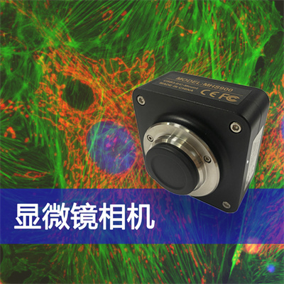 成像出色，高限度還原色彩真實(shí)性——廣州明慧顯微鏡相機(jī)