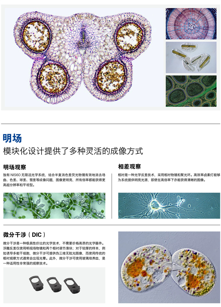 廣州明慧耐可視倒置顯微鏡NIB910-廣東顯微鏡