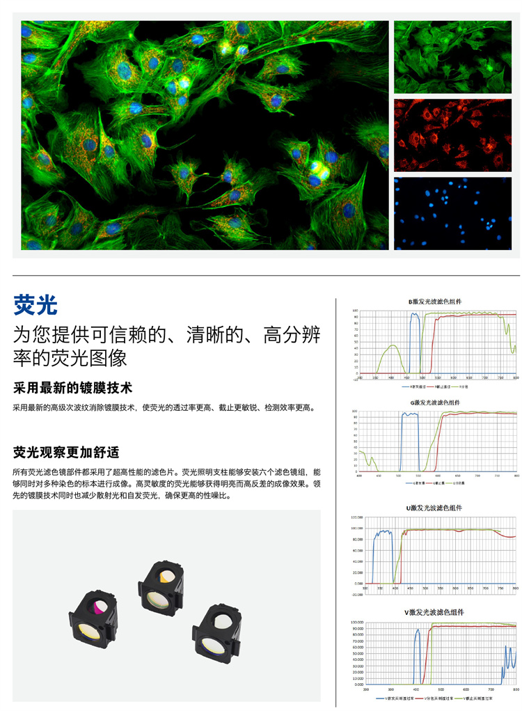 廣州明慧耐可視倒置顯微鏡NIB910-廣東顯微鏡