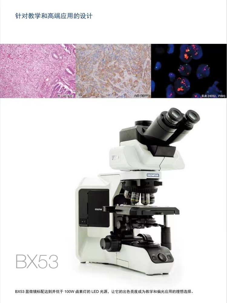 奧林巴斯生物顯微鏡BX53