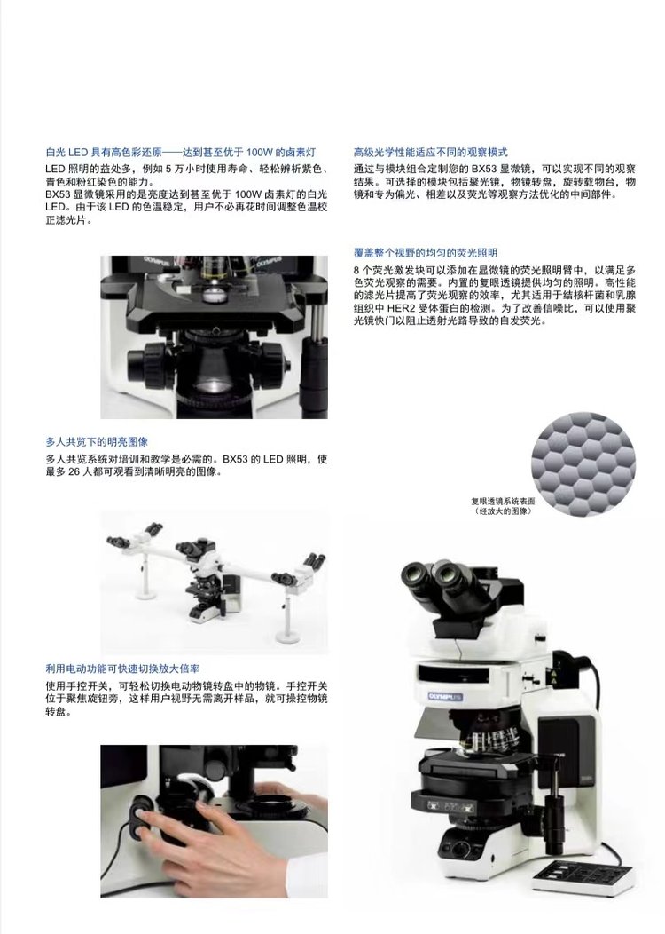 奧林巴斯生物顯微鏡BX53