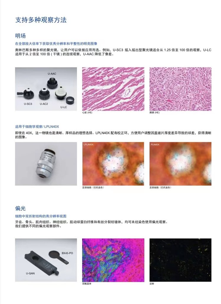 奧林巴斯生物顯微鏡BX53