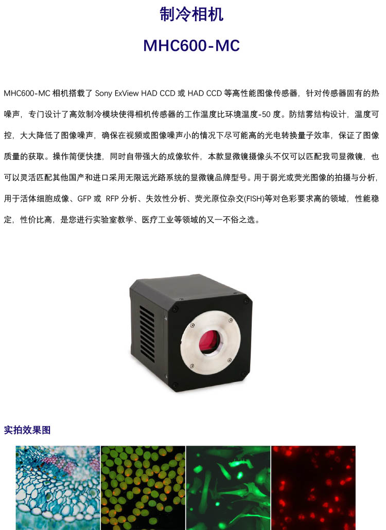 高性能高靈敏制冷CCD相機,MHC600-MC,廣州明慧顯微鏡專用制冷ccd相機 高性能高靈敏制冷CCD相機,MHC600-MC,廣州明慧顯微鏡專用制冷ccd相機