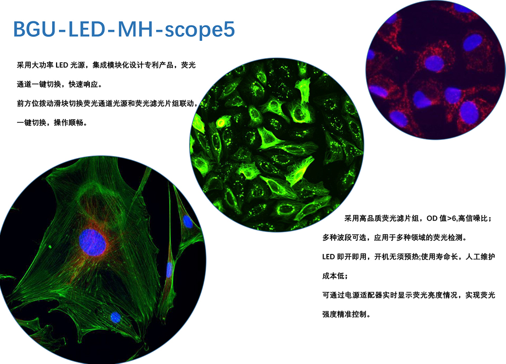 大功率LED熒光光源BGU-LED-MH-scope5（蔡司專(zhuān)用）,廣州明慧