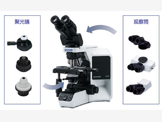 奧林巴斯顯微鏡BX43-廣州市明慧科技有限公司