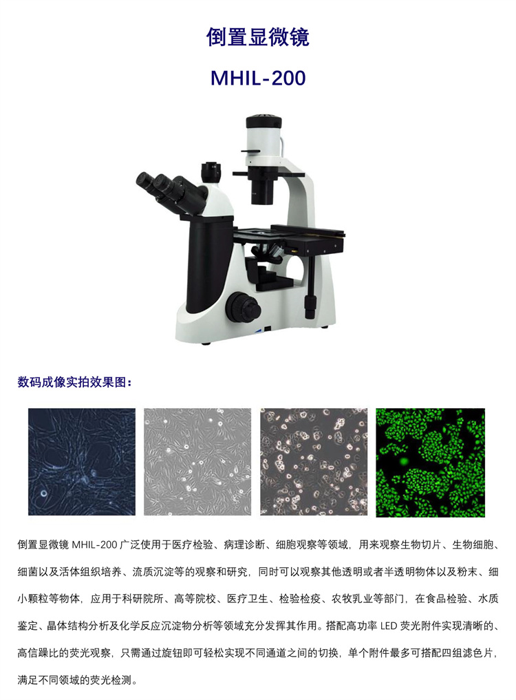 倒置顯微鏡價(jià)格,生物倒置顯微鏡,倒置顯微鏡細(xì)胞形態(tài),廣州明慧