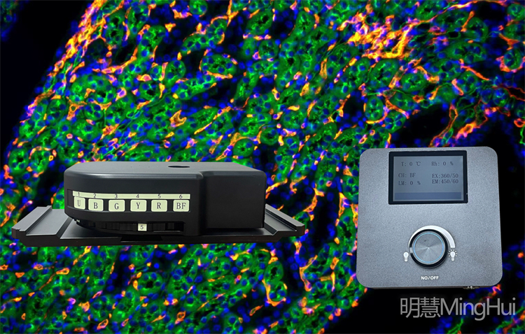 明慧生物倒置六孔LED熒光附件H6-LED-IMH