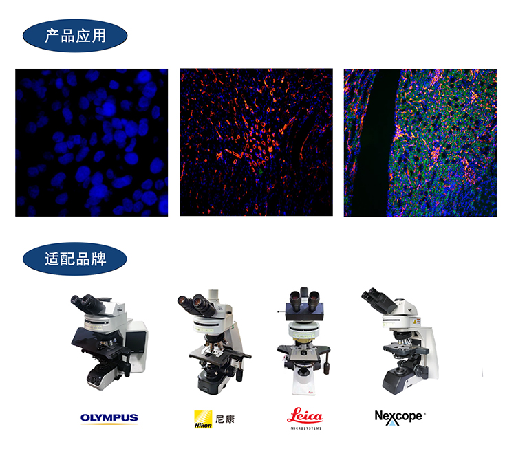 正置電動(dòng)八孔LED熒光附件FL8-BGU-DMH