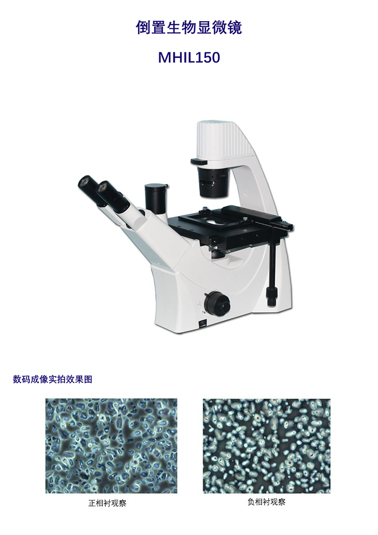 MHIL150型倒置顯微鏡是廣州明慧公司的一種倒置型生物顯微鏡