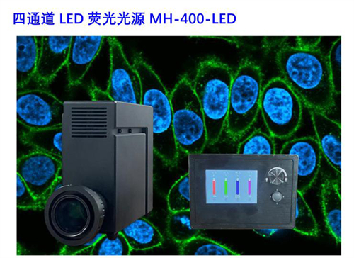 熒光顯微鏡熒光光源