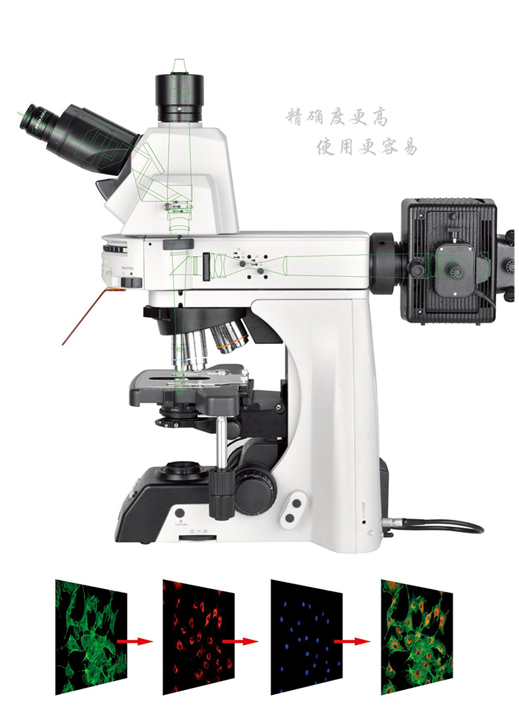 正置熒光顯微鏡NE910-FL-廣州市明慧科技有限公司