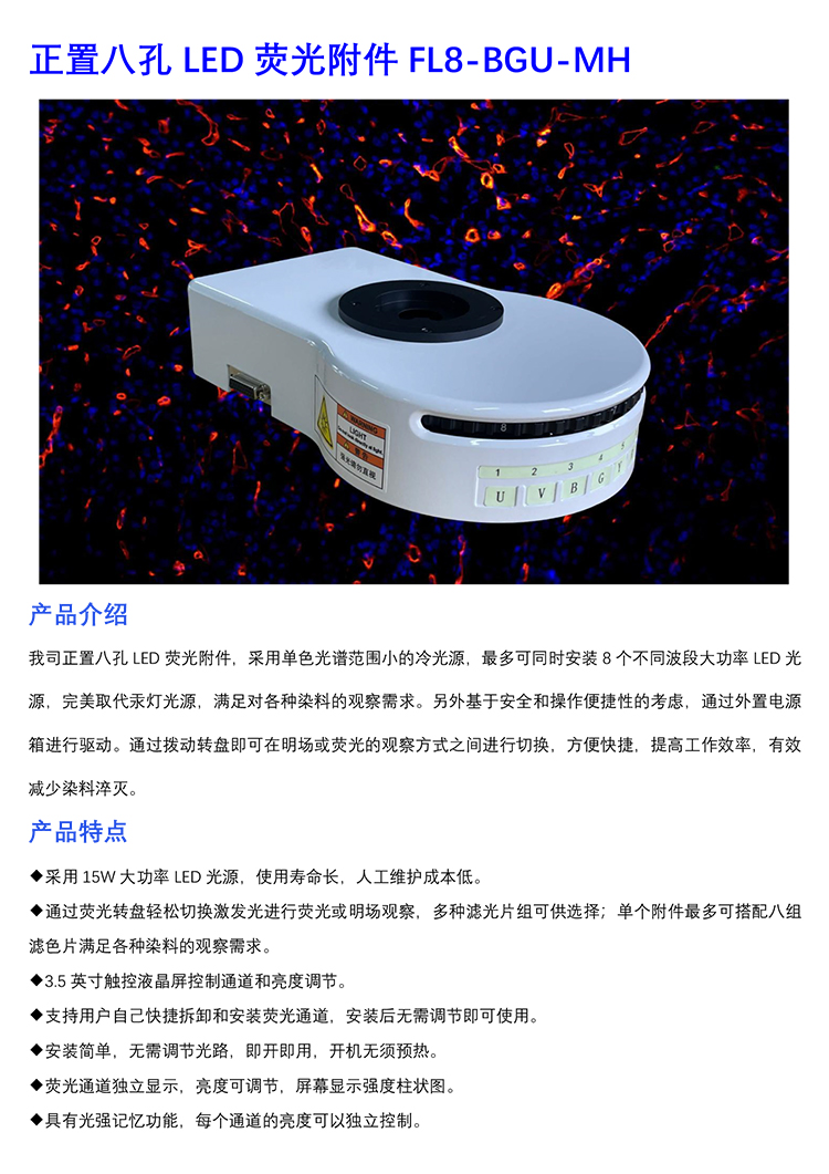 正置八孔LED熒光附件FL8-BGU-MH-廣州市明慧科技有限公司