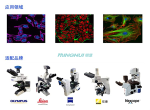 明慧四通道LED熒光光源MH-400-LED全光譜LED光源，標配385、460、520、625nm四波段，適配奧林巴斯、尼康、徠卡、蔡司、舜宇、永新、麥克奧迪品牌廠家顯微鏡。